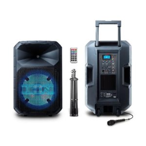 ION portable sound system