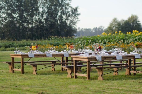 Harvest tables