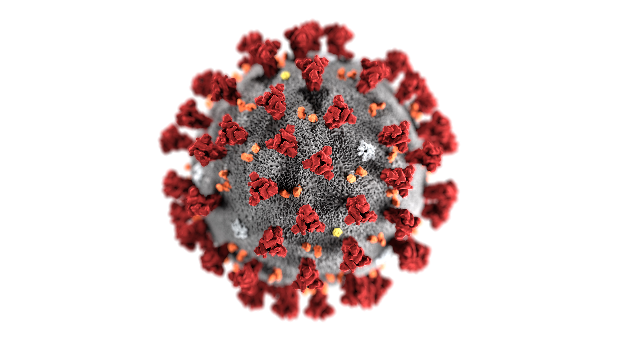 Coronavirus-CDC