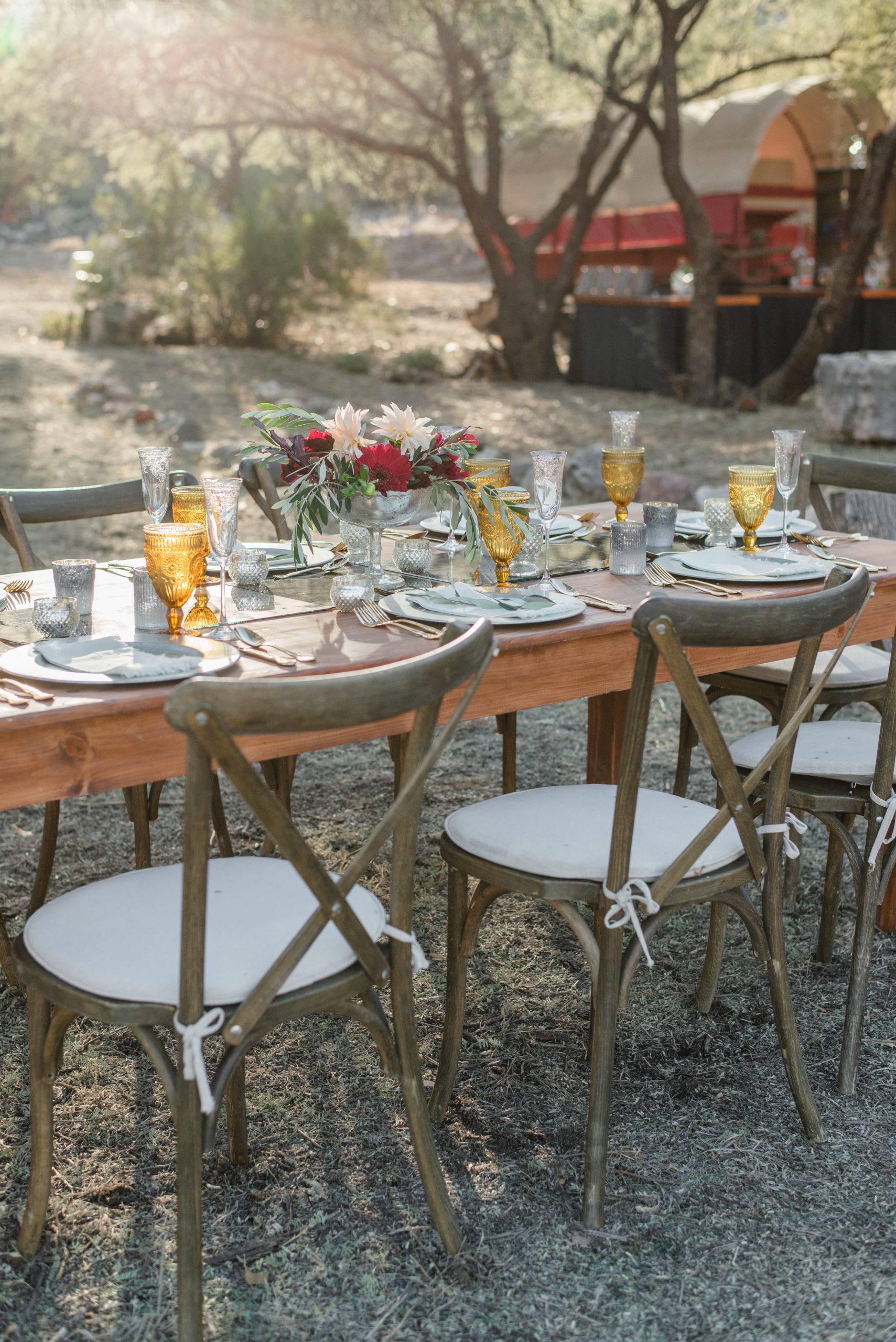 banquet-table-in-sunny-backyard-4558316