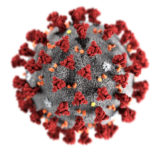 Coronavirus-CDC