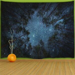 starry sky backdrop