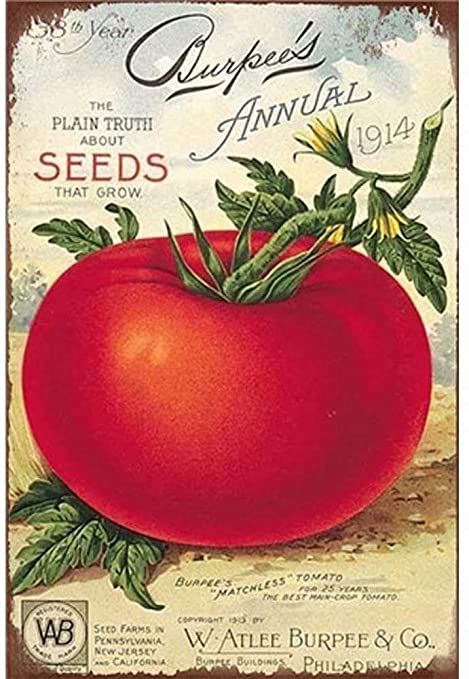 tomato seeds vintage sign