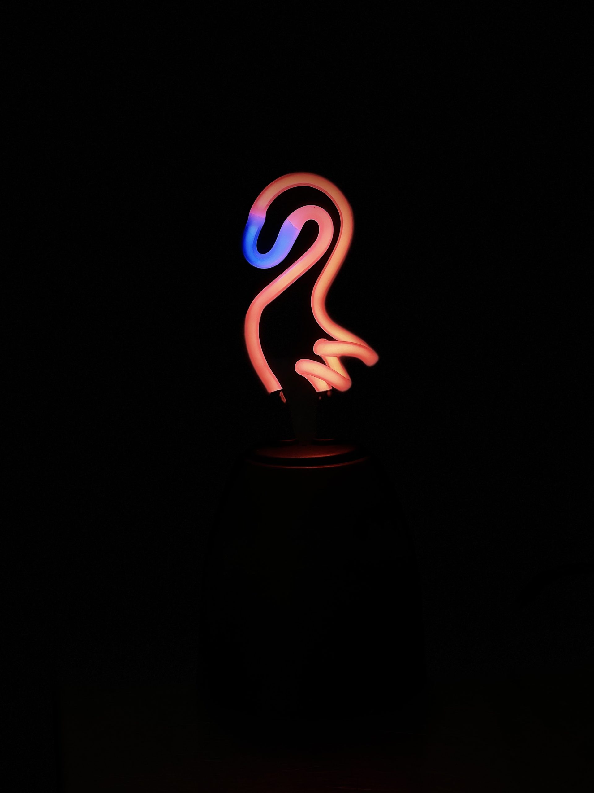 flamingo neon light