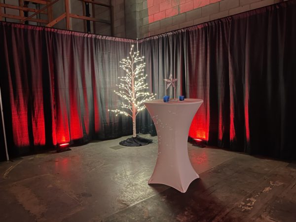 LED Birch Trees - Image 4