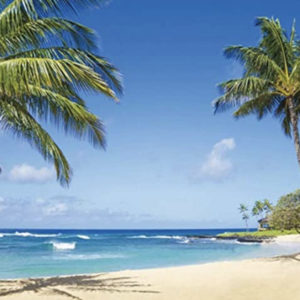 Tropical beach backdrop