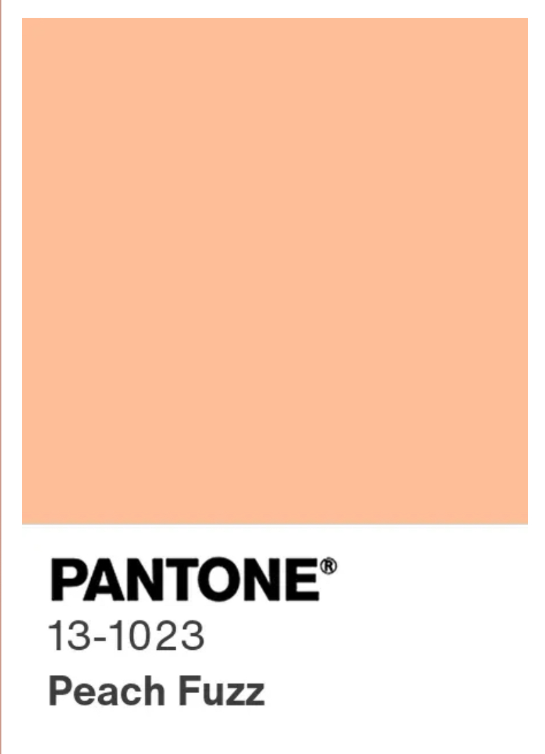 2024 pantone colour of the year