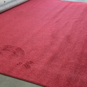 Photo Opp Carpet Runner